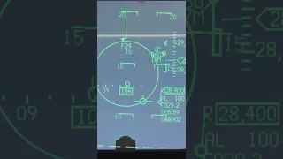 Falcon BMS: IMPROVE your AIM 120 SHOT