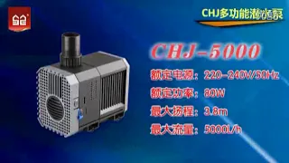 CHJ Series WasserPumpe