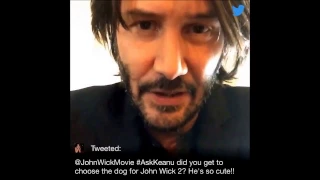 Keanu Reeves - Twitter Q&A - John Wick 2 (legendado)