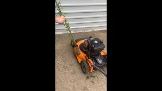 DIY Budget Wood Chipper