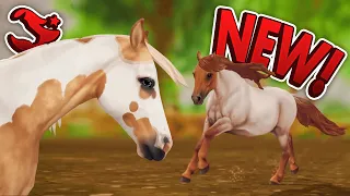 STAR STABLE SPOILERS - NEW Dartmoor Pony, American Paint Horse & More!