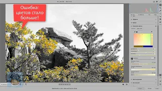 Новая Camera Raw 16.0.  Как работать с цветом на новой вкладке «Цвет точки».