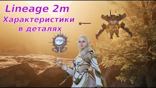 Lineage 2m  Характеристики. Как прокачать персонажа