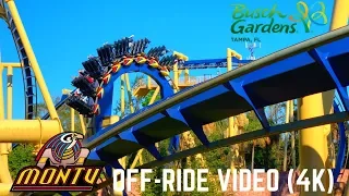 Montu Off-Ride Video (4K) - Busch Gardens Tampa Bay - Non Copyright