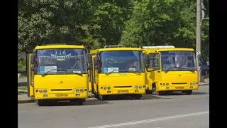 Проезд в маршрутках снова подорожает