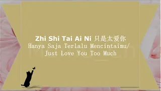 Karaoke No Vocal - Zhi Shi Tai Ai Ni 只是太爱你