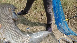 🎣catching big catla fishes| Singh shikar fishing in manjeera river