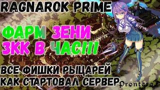 Ragnarok PRIME. Всё о Рыцарях. ТОПОВЫЕ фарм локации. Старт сервера и первые Эвенты.