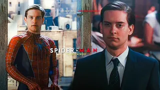 SPIDERMAN - MEMORY REBOOT