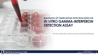 Diagnosis of Tuberculosis Infection using the In Vitro Gamma-Interferon detection Assay
