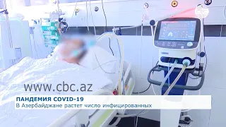 В Азербайджане растет число инфицированных COVID-19