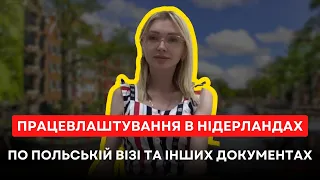 OPEN VISA - Чи можна працювати в Нідерландах по польській візі, карті побиту та інших документах?