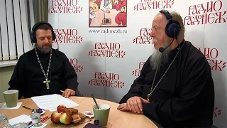 Радио «Радонеж». Протоиерей Димитрий Смирнов. Видеозапись прямого эфира от 2015.10.03