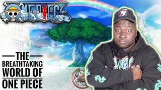 ONE PIECE HATERS REACT TO THE BREATHTAKING WORLD OF ONE PIECE