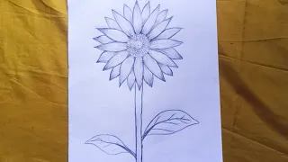 How to draw a sunflower step by step (very easy)