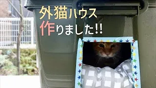 段ボールハウスを何度も作り直すのが大変なので、雨や寒さに負けない外猫ハウスを作ってみました！