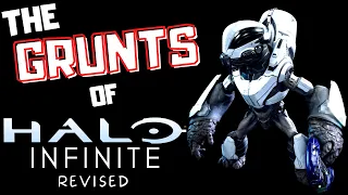 Halo Infinite Grunt Breakdown - Revised
