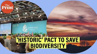 All you need to know about the Global Biodiversity Framework