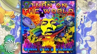 Dickster & Space Tribe - Turn On The World