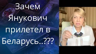 👀😩 Зачем Янукович✈️ прилетел в Беларусь...❗❗❓   Елена Бюн