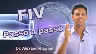 FIV: passo a passo do tratamento