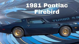 Pontiac Firebird Turbo Trans Am 1981#americanmuscle #forsale #foryou