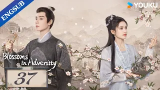 [Blossoms in Adversity] EP37 | Make comeback after family's downfall | Hu Yitian/Zhang Jingyi |YOUKU