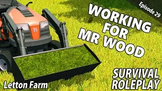 MOWER & THE MINI LOADER | Survival Roleplay | Farming Simulator 17 - Letton Farm - Ep 29