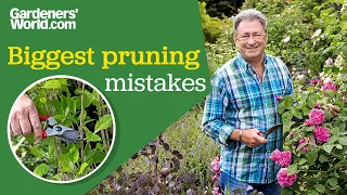 Avoid these pruning mistakes! Alan's top pruning advice