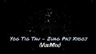 Yog Tig Tau - Zuag Paj Xyooj (VueMix_Remake)