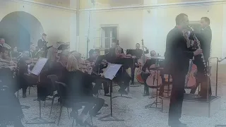 Georg Abraham SCHNEIDER: Concerto for Basset Horn Op.90