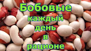 Бобовые-продукт, который едят все долгожители мира. Как быстро готовить фасоль, нут и другие бобовые