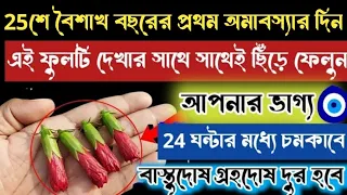 বছরের প্রথম অমাবস্যায় এই ফুলটি দেখতে পেলেই ছিঁড়ে ফেলুন 24 ঘন্টার মধ্যে আপনার ভাগ্য বদলাবে সব পাবেন