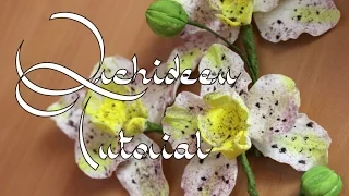 Zucker-Orchideen Anleitung I Gumpaste Orchid Tutorial I Fondant I Tortendekoration