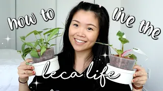Growing Plants in Leca 101 | Pros & Cons of Leca | How to Transfer Plants to Leca