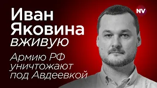 Армию РФ уничтожают под Авдеевкой – Иван Яковина вживую