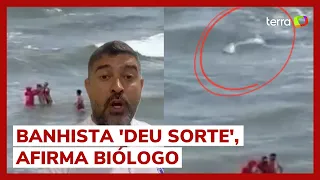 Biólogo analisa imagens e diz que havia tubarão onde homem foi retirado à força por bombeiros em PE