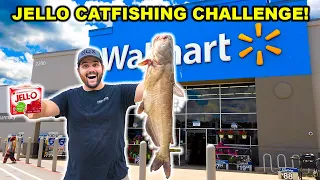 Homemade JELLO BAIT Walmart CATFISHING Challenge!!! (Catch Clean Cook)