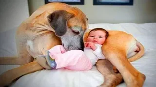 Cute Dogs Love Babies 🐶👶 Cute Dogs Babysitting Babies (Part 1) [Epic Life]