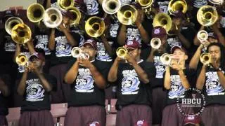 Not Afraid - Texas Southern Marching Band  | Eminem Cover