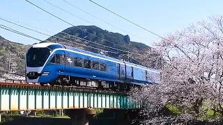 おうちで楽しむ伊豆急行線のある風景（寝姿山＆桜ver）