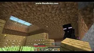 I Meant To Do That! Enderman Roommate