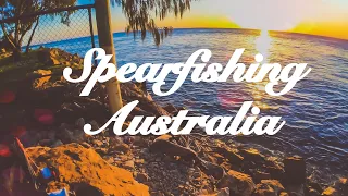 Spearfishing SEQ Australia 2021