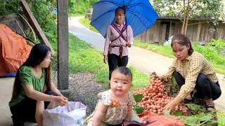 Full video: husband is missing, harvesting agricultural products to bring to the market