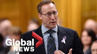 Peter MacKay joins Conservative leadership race to replace Andrew Scheer