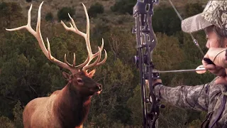 BOW HUNTING New Mexico Elk - Willi's DREAM Bull @ 47 YARDS!  Pure Hunting S9 E6