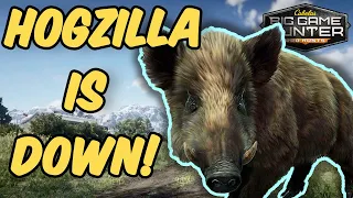 Bow Hunting A HUGE Boar! - Cabela's Big Game Hunter: Pro Hunts