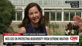 WCS CEO discusses protecting biodiversity from extreme weather