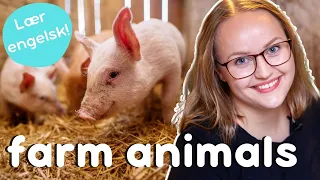 Hva heter dyrene på gården? | Lær engelsk