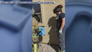 Firefighters rescue cat trapped in wall